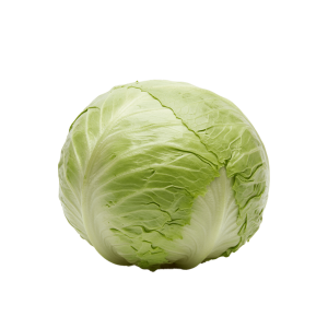 Lechuga Iceberg (Repollada) 3.6  Lib Aprox
