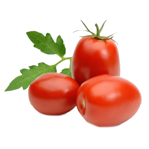 Tomates Bugaloo 5 Libras